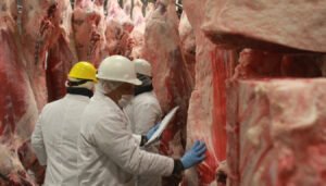 La suba de la carne impactará en la inflación: le pondría un piso de 2% al índice de marzo